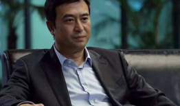 张嘉译演过的电视剧,从蜗居到人世间，一部剧一部人生