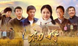 初婚电视剧,爱情与现实的交织