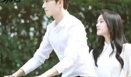 近期热播电视剧排行榜,哪些剧集成为观众心头好？