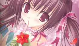 紫色的动漫人物,探寻动漫世界的神秘紫色英雄